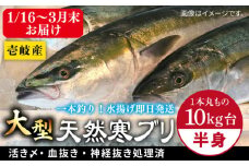 【1/16～3月末お届け】天然 寒ブリ（一本丸ものサイズ10キロ台 半身ブロック）《壱岐市》【壱岐島 玄海屋】 [JBS100] 89000 89000円 