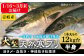 寒ブリ 寒ぶり 寒鰤 天然 おすすめ オススメ おいしい 美味しい