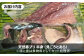 寒ブリ 寒ぶり 寒鰤 天然 おすすめ オススメ おいしい 美味しい