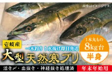 【11/1～1/15お届け 年末年始用】壱岐島産天然寒ブリ（一本丸ものサイズ8キロ台 半身ブロック）《壱岐市》【壱岐島 玄海屋】 [JBS103] 118000 118000円 