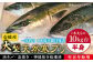 寒ブリ 寒ぶり 寒鰤 天然 おすすめ オススメ おいしい 美味しい