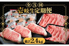 【全3回定期便】 壱岐牛 肉 定期便 《壱岐市》【壱岐市ふるさと商社】 肉 黒毛和牛 ハンバーグ ステーキ [JAA026] 105000 105000円 