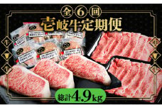 【全6回定期便】 壱岐牛 肉 定期便 《壱岐市》【壱岐市ふるさと商社】 肉 黒毛和牛 ハンバーグ ステーキ しゃぶしゃぶ すき焼き [JAA027] 210000 210000円 