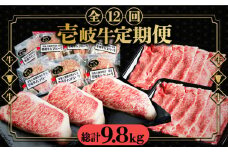 【全12回定期便】 壱岐牛 肉 定期便 《壱岐市》【壱岐市ふるさと商社】 肉 黒毛和牛 ハンバーグ ステーキ [JAA028] 315000 315000円 