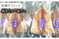 人気   うに ウニ 雲丹  新鮮 海鮮 特産品 贈り物 ギフト   魚介