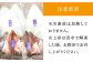 人気   うに ウニ 雲丹  新鮮 海鮮 特産品 贈り物 ギフト   魚介