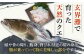 人気   うに ウニ 雲丹  新鮮 海鮮 特産品 贈り物 ギフト   魚介
