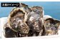 岩ガキ かき 牡蠣 貝 セット バーベキュー BBQ 海鮮 魚介 海の幸 セット