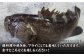 人気 うに ウニ 雲丹  新鮮 海鮮 特産品 贈り物 ギフト   魚介 ごはんの