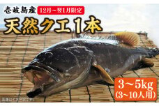 【先行予約】【12月〜翌1月限定】 天然 クエ 丸もの 1本 3〜5kg（鍋・刺身 5〜10人用）【2025年12月以降発送】 《壱岐市》【丸和水産】 [JCJ024] クエ くえ 冷蔵 直送 海鮮 鮮魚 刺身 刺し身 お刺身 クエ鍋 くえ鍋 1本 1匹 高級魚 134000 134000円