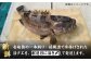 人気 うに ウニ 雲丹  新鮮 海鮮 特産品 贈り物 ギフト   魚介