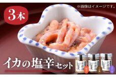 イカの塩辛 3本 《壱岐市》【株式会社マルショウ】 イカ墨 沖漬け 塩辛 いか イカ おつまみ セット 詰め合わせ [JEW001] 16000 16000円