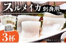 スルメ 刺身用 3杯 《壱岐市》【株式会社マルショウ】 [JEW009] いか イカ スルメ おつまみ 刺身 海産物 魚介 11000 11000円