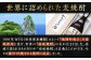 焼酎 壱岐焼酎 むぎ焼酎 麦焼酎 ムギ焼酎 本格焼酎 地酒 お酒 ギフト
