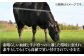 ステーキ 人気 和牛  長崎和牛 希少 柔らかい やわらかい 贈り物 ギフト  