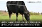 ステーキ 人気 和牛  長崎和牛 希少 柔らかい やわらかい 贈り物 ギフト  