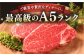 ステーキ 人気 和牛  長崎和牛 希少 柔らかい やわらかい 贈り物 ギフト  