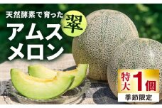 【先行予約】【贈答用】 アムスメロン「翠」 特大1個 【2026年6月中旬以降順次発送】《壱岐市》【フレッシュメイト壱岐】[JAZ006] メロン めろん 特大 大 アムスメロン 果物 くだもの 果実 フルーツ デザート ギフト 贈答 プレゼント 10000 10000円