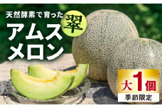 【先行予約】【贈答用】 アムスメロン「翠」 大1個 【2026年6月中旬以降順次発送】《壱岐市》【フレッシュメイト壱岐】[JAZ007] メロン めろん 大 アムスメロン 果物 くだもの 果実 フルーツ デザート ギフト 贈答 プレゼント 8000 8000円