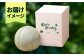 メロン めろん アムスメロン 果物 くだもの 果実 フルーツ デザート ギフト 
