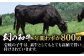 ハンバーグ 人気 和牛  長崎和牛 希少 柔らかい やわらかい 贈り物 ギフト 