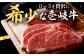ハンバーグ 人気 和牛  長崎和牛 希少 柔らかい やわらかい 贈り物 ギフト 
