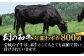 ハンバーグ 人気 和牛  長崎和牛 希少 柔らかい やわらかい 贈り物 ギフト 
