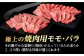 ハンバーグ 人気 和牛  長崎和牛 希少 柔らかい やわらかい 贈り物 ギフト 