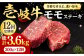ハンバーグ 人気 和牛  長崎和牛 希少 柔らかい やわらかい 贈り物 ギフト 