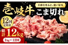 【全12回定期便】 壱岐牛 こま切れ （バラ） 1kg《壱岐市》【株式会社イチヤマ】[JFE078] 定期便  肉 牛肉 細切れ 小間切れ BBQ 焼肉 焼き肉 赤身 372000 372000円