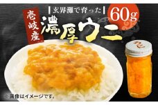 壱岐産 濃厚 ウニ60g《壱岐市》【合同会社塚元】ムラサキウニ 海産物 海鮮 ウニ うに 雲丹 珍味 [JDR021] 16000 16000円