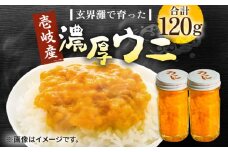 壱岐産 濃厚 ウニ 60g ×2本《壱岐市》【合同会社塚元】ムラサキウニ 海産物 海鮮 うに 雲丹 珍味 [JDR022] 31000 31000円