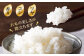 特産品 お米 地元産 こだわり 穀物 精米 白米