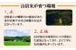 特産品 お米 地元産 こだわり 穀物 精米 白米