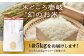特産品 お米 地元産 こだわり 穀物 精米 白米