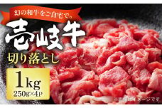 壱岐牛 切り落とし 250g×4パック《壱岐市》【長崎フードサービス】 1キロ 牛肉 牛 精肉 和牛 黒毛和牛 高級 スネ肉 スライス 焼肉 バーベキュー すき焼き 冷凍配送 19000 19000円 [JEP004]