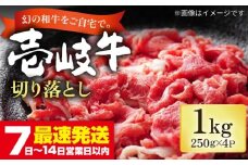 壱岐牛 切り落とし 250g×4パック《壱岐市》【長崎フードサービス】 1キロ 牛肉 牛 精肉 和牛 黒毛和牛 高級 スネ肉 スライス 焼肉 バーベキュー すき焼き 冷凍配送 19000 19000円 [JEP004]