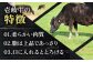 ステーキ 人気 和牛  壱岐牛 希少 柔らかい やわらかい 贈り物 ギフト  肉