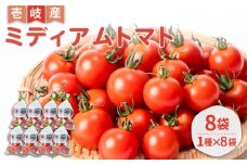 ミディアムトマト 8袋《壱岐市》【ISLAND FARM】 トマト 生鮮 野菜 夏 13000 13000円 1万 [JFL001]