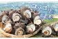 人気 魚介 ごはんのお供 朝食 昼食 夕食 夜食 セット 朝食 昼食 夕食
