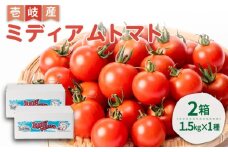 ミディアムトマト バラ 3kg（1.5kg×2箱）《壱岐市》【ISLAND FARM】 トマト 生鮮 野菜 夏 22000 22000円 [JFL002]