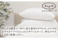 おすすめ オススメ こだわり ギフト 人気 特産品 贈り物 ギフト  羽毛布団 
