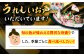 刺身盛り 刺身セット さしみ 船盛 海鮮 海鮮丼 魚介 海の幸 寿司 お寿司 贅