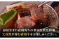 ハンバーグ 人気 和牛  長崎和牛 希少 柔らかい やわらかい 贈り物 ギフト 