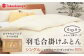 おすすめ オススメ こだわり ギフト 人気 特産品 贈り物 ギフト  羽毛布団 