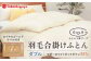 おすすめ オススメ こだわり ギフト 人気 特産品 贈り物 ギフト  羽毛布団 