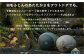 おすすめ オススメ こだわり ギフト 人気 特産品 贈り物 ギフト  羽毛布団 