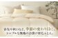 おすすめ オススメ こだわり ギフト 人気 特産品 贈り物 ギフト  羽毛布団 