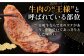 ハンバーグ 人気 和牛  長崎和牛 希少 柔らかい やわらかい 贈り物 ギフト 