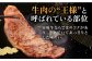 ハンバーグ 人気 和牛  長崎和牛 希少 柔らかい やわらかい 贈り物 ギフト 